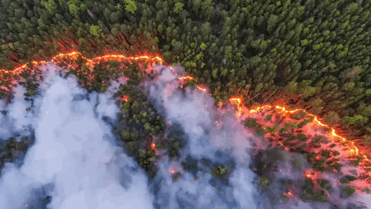 klimaat bosbranden siberie greenpeace